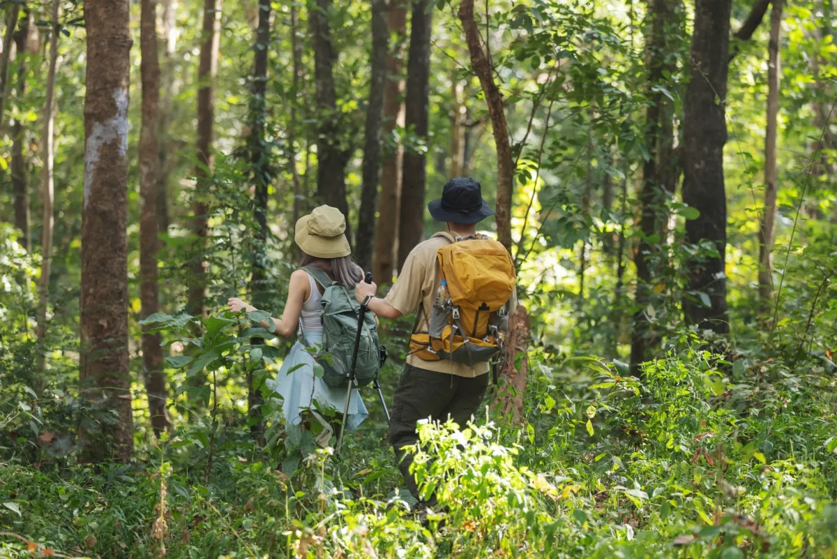 Forest Trek & Wild Honey Hunt with the Veddas
