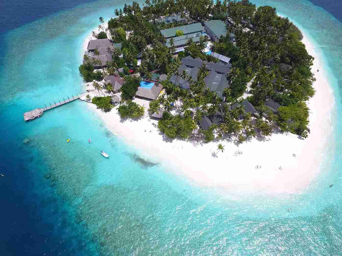 Malahini Kuda Bandos 1